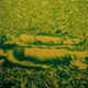 Illustration for article titled Is Stay-Green Grass The Artists Medium Of The Future?